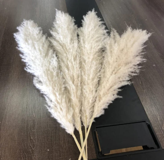Natural Dried Pampas Grass Bunch – 60cm 10stems