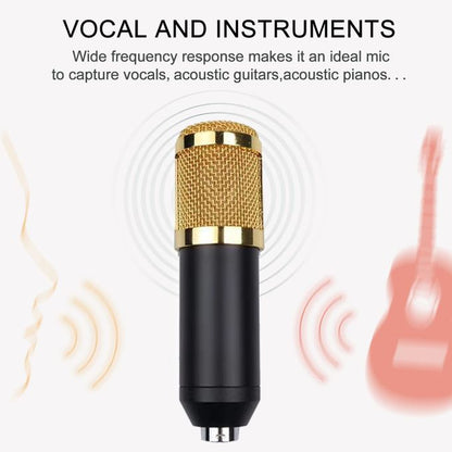 BM800 Professional Condenser Microphone Kit – Studio Recording, Podcast & Streaming Mic Set