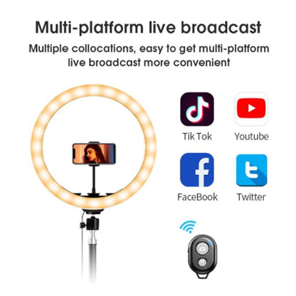12-Inch LED Ring Light with 2M Tripod Stand + Free Gifts: Microphone, Bluetooth Remote & Table Stand