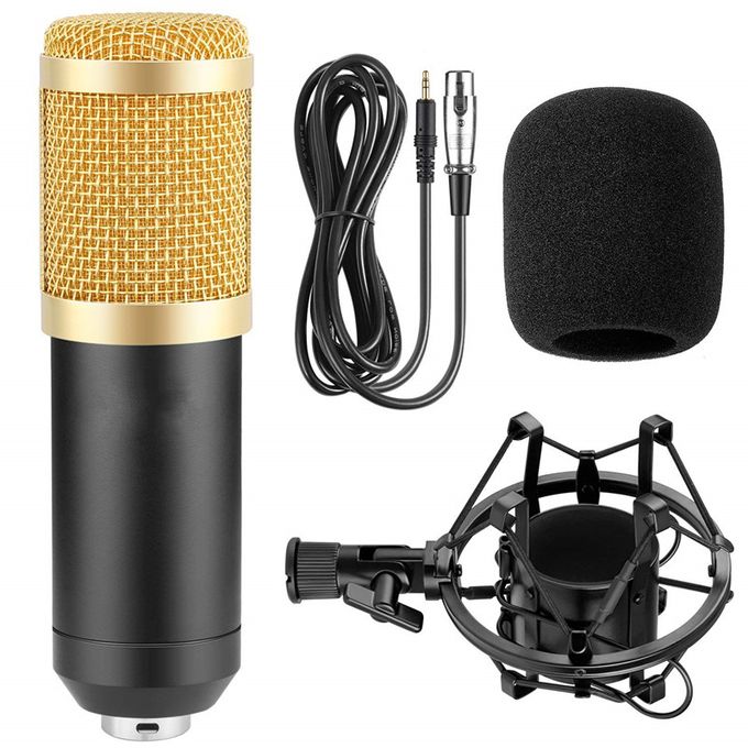 BM800 Professional Condenser Microphone Kit – Studio Recording, Podcast & Streaming Mic Set