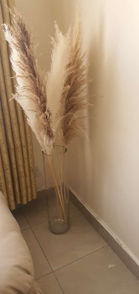 Big Fluffy Pampas Grass – Dried Decorative Flowers
