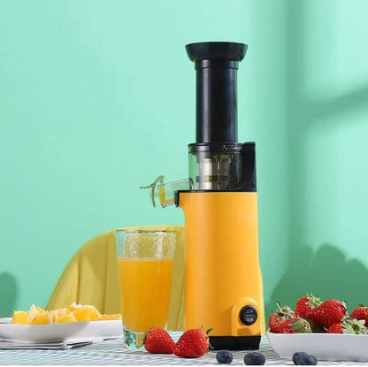 Slow Juicer Blender