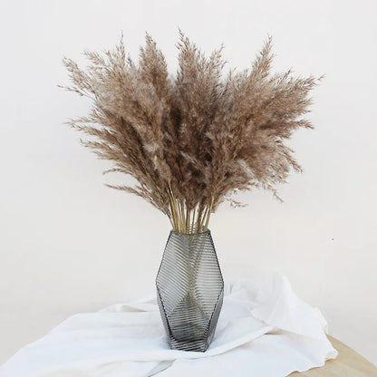 Natural Dried Pampas Grass Bunch – 60cm 10stems