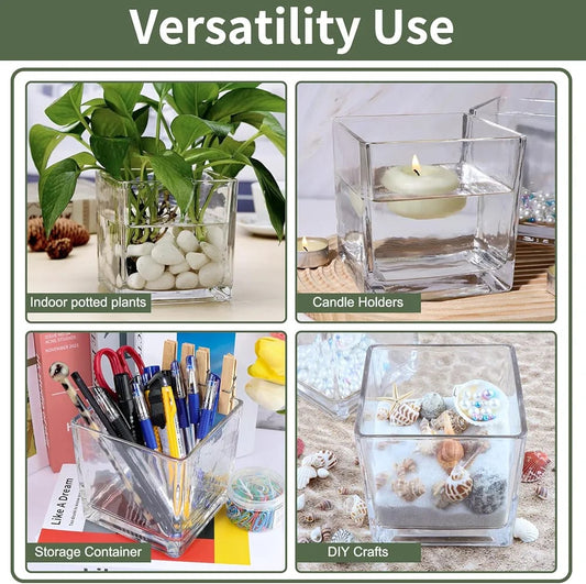 Glass Cube Vase – Clear