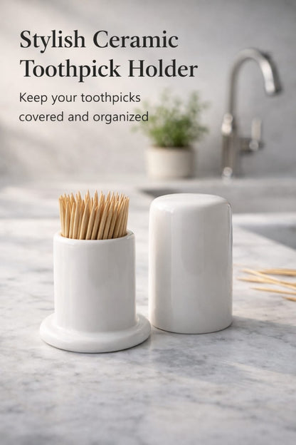Elegant Ceramic Toothpick Holder with Lid