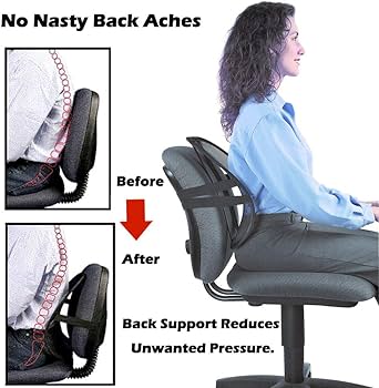 Seat Back Lumbar Support Mesh Back Rest