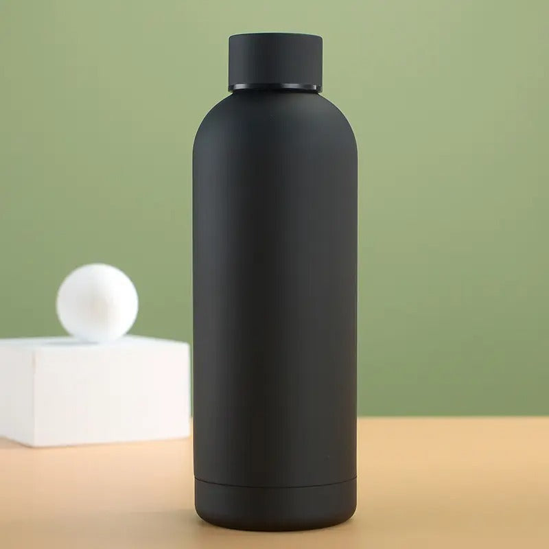 Stainless Steel Water Bottle,Modern Insulated  Leakproof Vacuum Cup with Lid