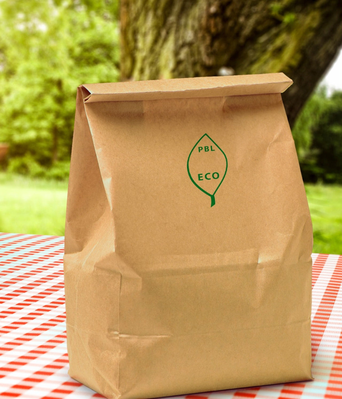 Brown Packaging Khaki Paper Bags – 100 pcs