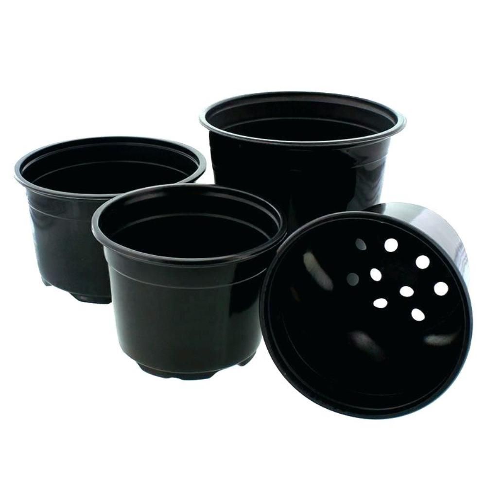 Reusable Garden Flower Seedling Planters – 10 Pc